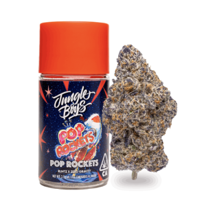 Jungle Boys | Pop Rockets – 3.5g Jar
